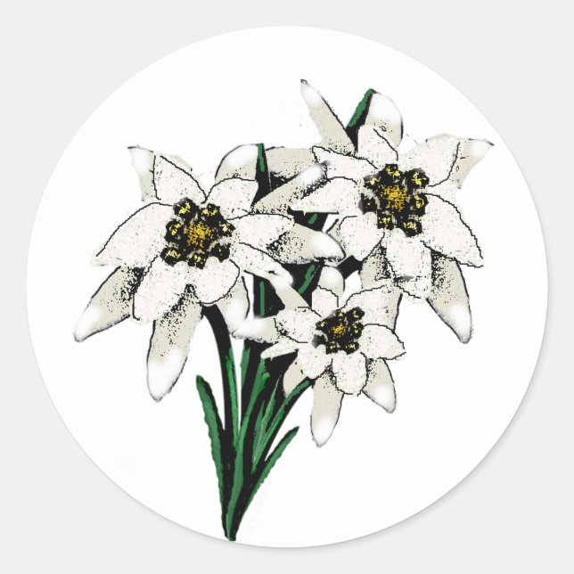Adesivo Edelweiss Flowers (Frente)