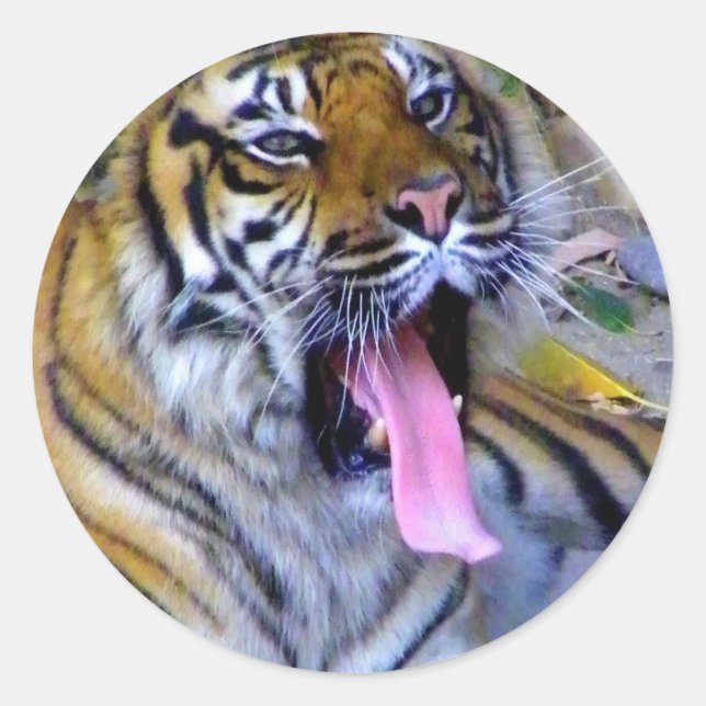 Adesivo Ei! (Frente)