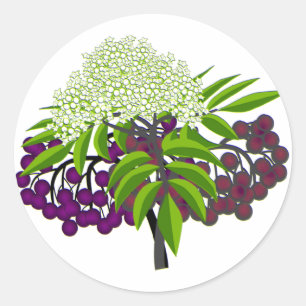 Adesivo Elderberry
