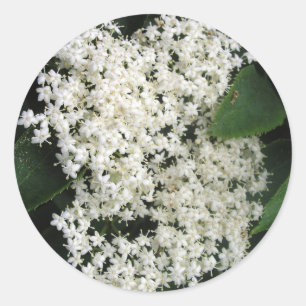 Adesivo Elderflower
