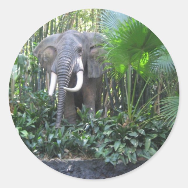 Adesivo elefante (Frente)