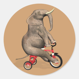 Adesivo Elefante Bonito Dirigindo Um Triciclo