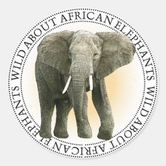Adesivo Elefantes Africanos