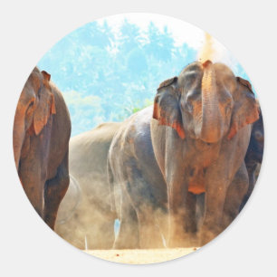 Adesivo Elefantes Animais Safari Destino Paz Amor