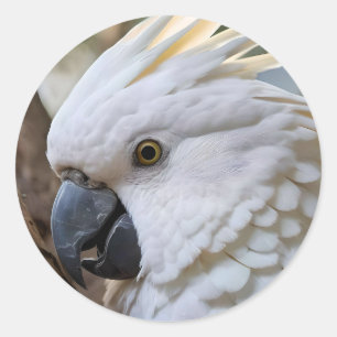 Adesivo Elegância em Branco: A Majestosa Cockatoo Aussie