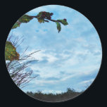 Adesivo Elegante Holly Christmas, céu azul<br><div class="desc">Elegante Holly Christmas,  azul sky Foto de Sandy Closs xmas Christmas holly,  berry,  "holly berry" "elegante natal" "flores de natal" "floral azul verde azul"</div>