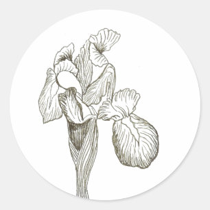 Adesivo Elegante Iris Sticker