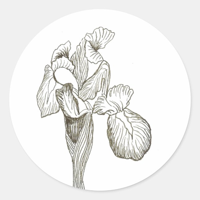 Adesivo Elegante Iris Sticker (Frente)