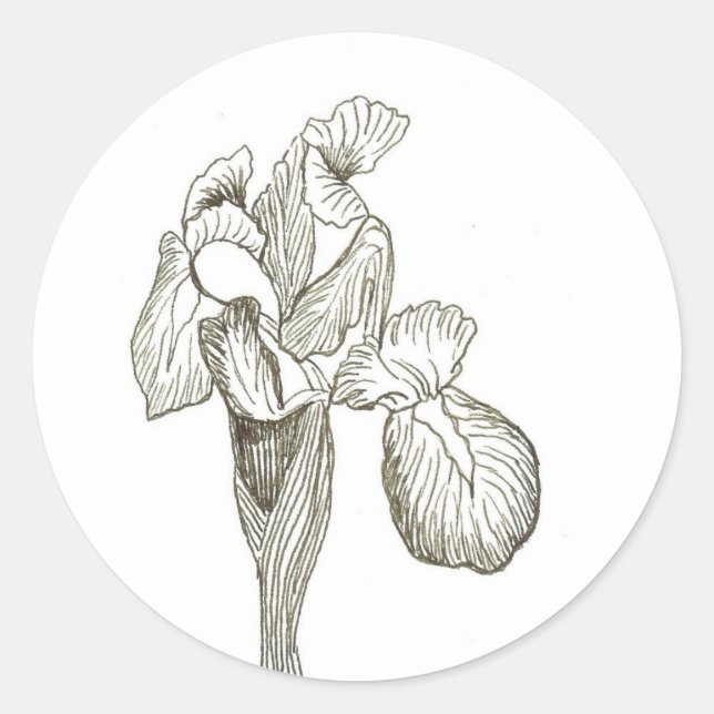 Adesivo Elegante Iris Sticker (Frente)