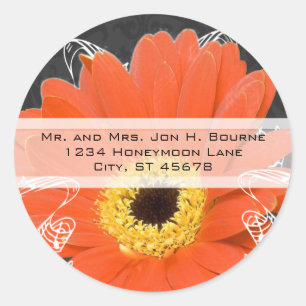 Adesivo Elegante Orange Gerber Daisy Wedding