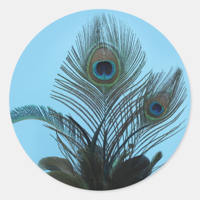 Adesivo Elegante Peacock Sticker (turquesa) (Frente)