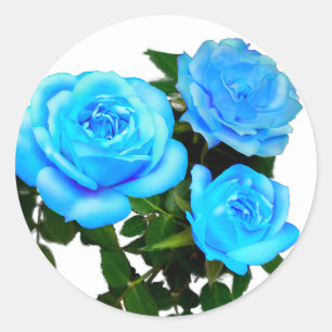 Adesivo Elegantes rosas azul turquesa flores azuis florais