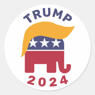 Adesivo Eleição de 2024 Classic Round Stickers