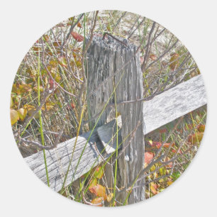 Adesivo Elementos de coordenação IBSP NJ de cercas e venen