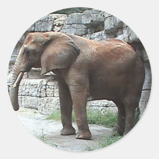 Adesivo Elephant Sticker