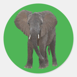 Adesivo Elephant Sticker Africano