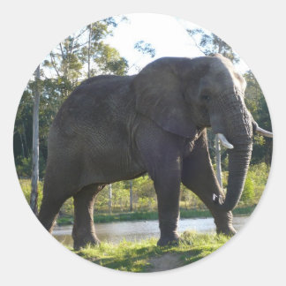 Adesivo Elephant Sticker Africano
