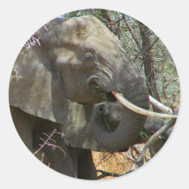 Adesivo Elephant Stickers