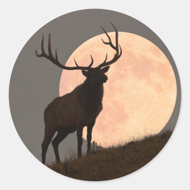 Adesivo Elk Bull Elk e Moon Rise (Frente)