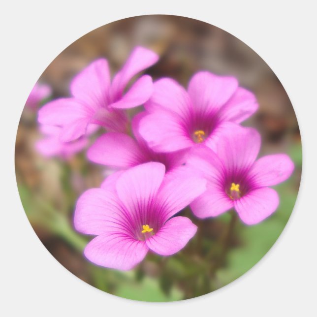 Adesivo Em Minha Porta (Frente)