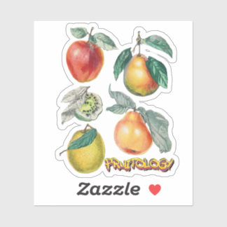 Adesivo Emballages cadeau > Autocollants & Stickers