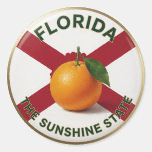 Adesivo Emblema de Laranja Citrino da Flórida 🍊