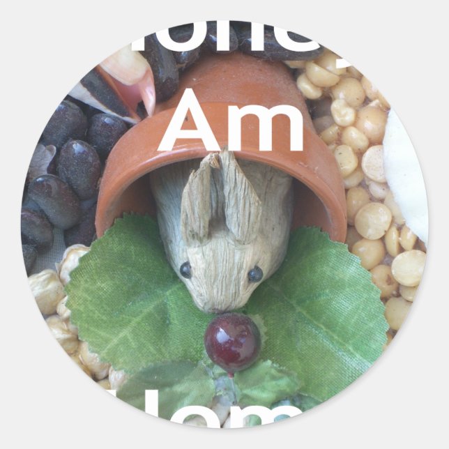 Adesivo Encantamento de coelho bonito (Frente)