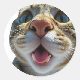 Adesivo Encerramento de Gato Engraçado | Arte de Gato Boni