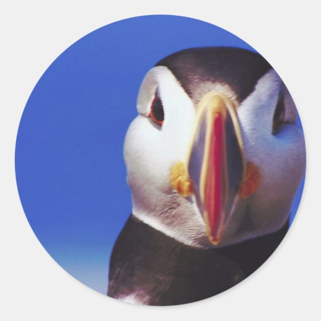 Adesivo Encerramento do Puffin (Frente)