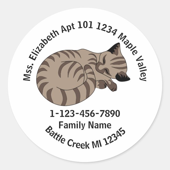 Adesivo Endereço Doméstico da Família Kitten do Tabby Tabb (Frente)