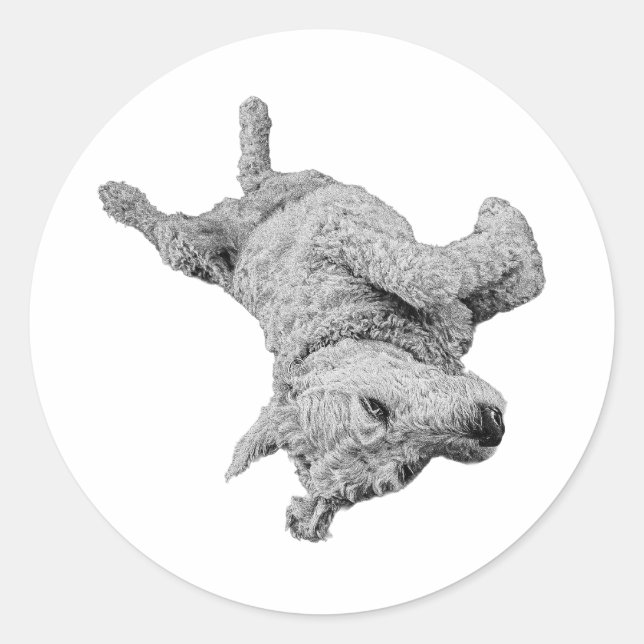 Adesivo Energia de Goofball (Frente)