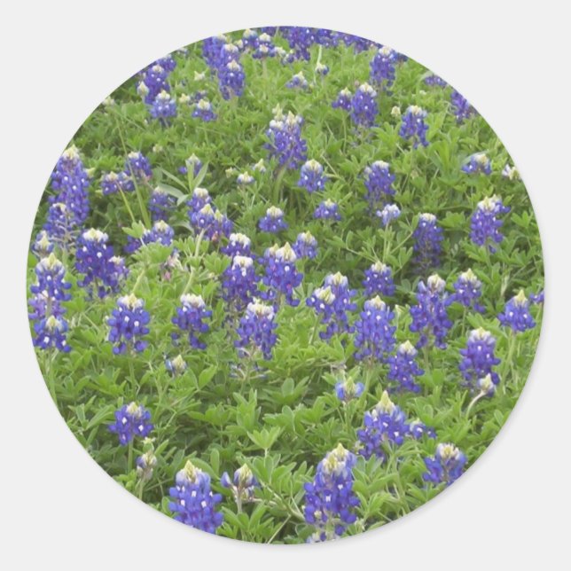 Adesivo Energia do Blues (Frente)