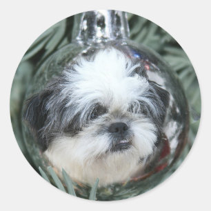 Adesivo Enfeites de natal Shih Tzu