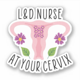 Adesivo Enfermeira L&D no seu Enfermeiro Cervix, Trabalho 