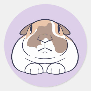 Adesivo Engraçado Bunny Sticker!