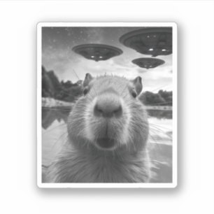 Adesivo Engraçado Capybara Selfie com OVNIs esquisitos