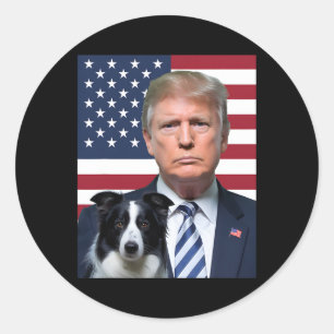 Adesivo Engraçado E Borda Collie Dog Onu, Eleição De Bande