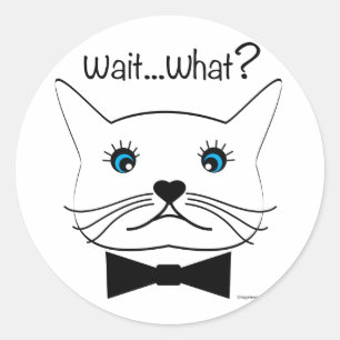 Adesivo Engraçado Espera... O quê? Gato De Olho Cruzado,