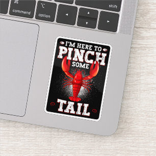 Adesivo Engraçado, estou aqui para pegar uma prega