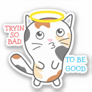 Adesivo Engraçado gatinho calico cat halo personalizado