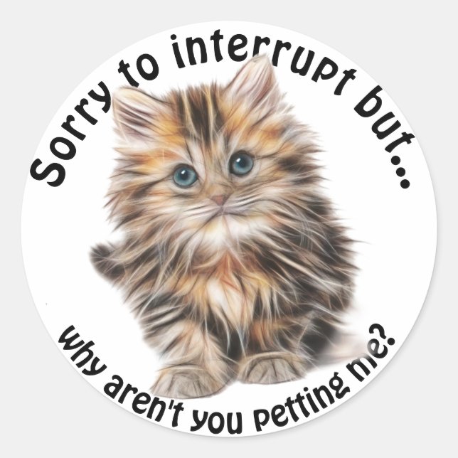 Adesivo Engraçado Gatinho Engraçado Pet Me Cotação (Frente)