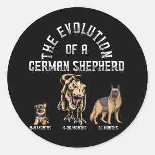 Adesivo Engraçado German shepherd Evolutivo Dinossauro Pet