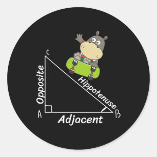 Adesivo Engraçado Hipo Skater Geometria Hipotenusa Math Bo