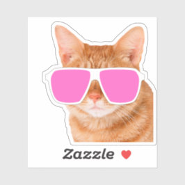 Adesivo Engraçado Laranja Tabby Cat Peeking