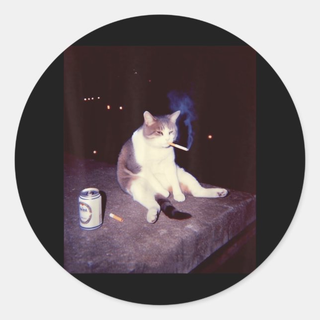 Adesivo Engraçado Memória Fumante Cigarro Kitten Brainrot  (Frente)