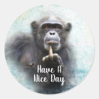 Engraçado Ofensivo Chimpanzé Dedo Médio