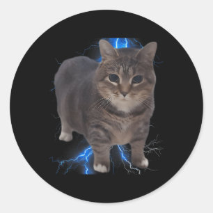 Adesivo Engraçado Oiia Oiia Girando Gato Memória Cat Brain