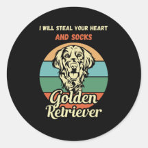 Engraçado Ouro Retriever Sock Thief. Cachorro Engr
