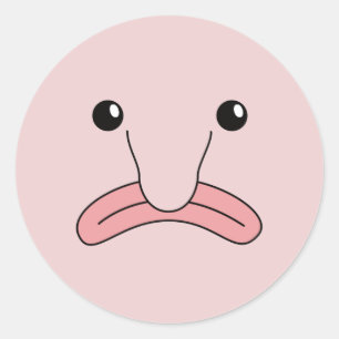 Adesivo Engraçados Engraçados Animais Engraçados