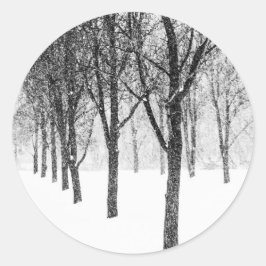 Adesivo Enquanto eu lado com árvores